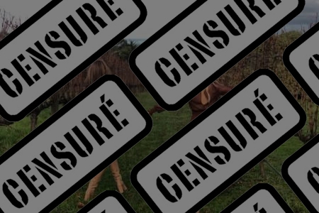 H pour Mère-fille, sœurs, cousines, copines